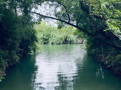 -西溪国家湿地公园