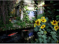 -The Flowers Coffee(南山店)