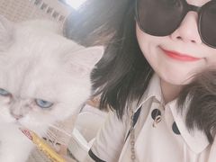 -喵屿·大理花园猫咖