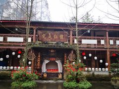 -青城甲(青城山店)