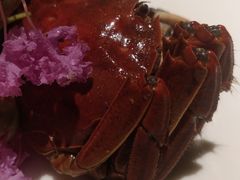 -淮食·雅宴(北大博雅国际酒店)