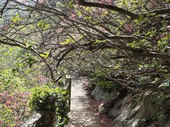 -木兰云雾山