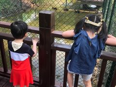 -黄海国家森林公园