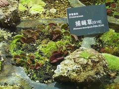 -国家植物园南园