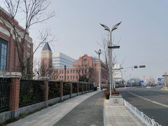 -星光岛