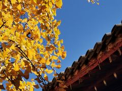 -北京石刻艺术博物馆(五塔寺)