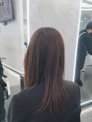 -YESIDO椰岛造型