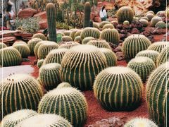 -南通洲际绿博园