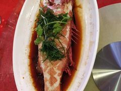 -东莞常平逸豪国际大酒店