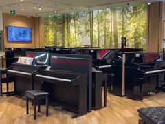 -柏斯琴行(汾阳店)