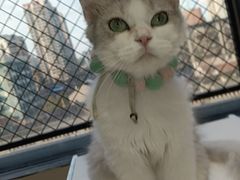 -怪兽屋·羊驼·猫咖·狗咖(俊华广场店)