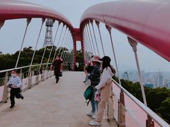 -金鸡山公园