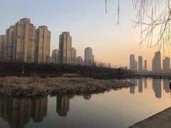 -前关湿地公园