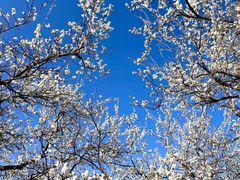 -名花谷生态庄园