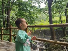 -牛背梁国家森林公园