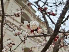 -大连海昌东方水城