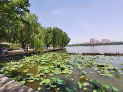 -济南大明湖景区