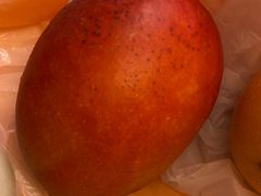 -油麻地果栏