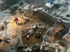 -自贡恐龙博物馆