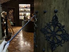-雪灵魔法世界SHELLY’S TAROT(大良桂畔里店)