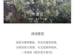 -信义坊码头