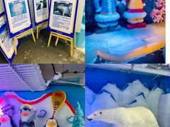 -郑州银基冰雪世界
