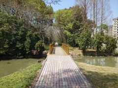 -上海中医药大学附属曙光医院(东部)