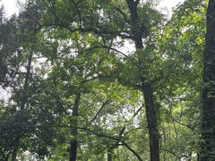 -兴福老面馆(寺路街店)