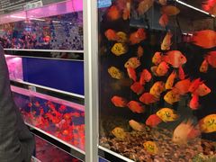 -大润发(王庄店)