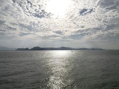 -演武大桥观景平台