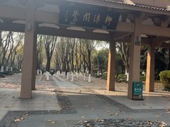 -西湖游船