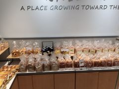 -皇冠幸福里动物奶油生日蛋糕(中山大道二中店)