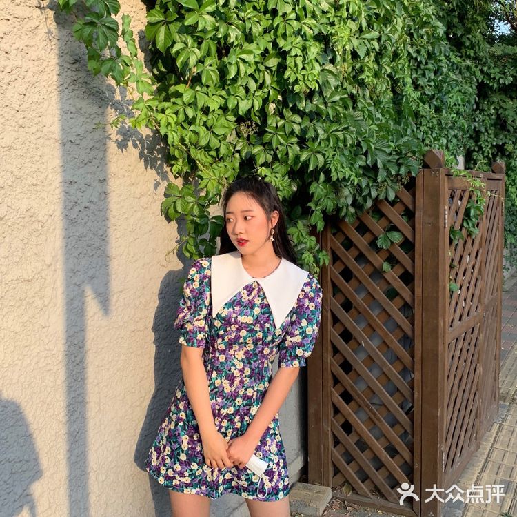 我的五大道照片合集
