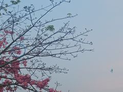 -风云岭森林公园