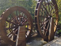 -广州白江湖森林公园