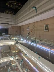 点击看大图 -爱弥儿月子中心(省医院店)