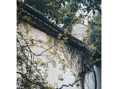 -留园