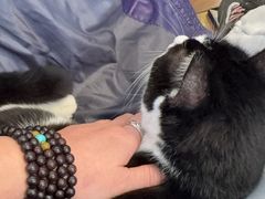 -路易时光(蕴川路店)