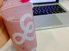 多莓酸奶-gaga(深圳福田星河COCO Park店)