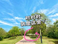 -盘龙城国家考古遗址公园