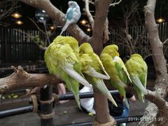 -哈尔滨波塞冬海底世界