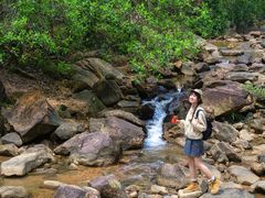 -广州白江湖森林公园