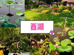 -西湖游船