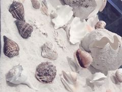 -福州罗源湾海洋世界旅游区