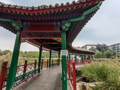 -西海子公园
