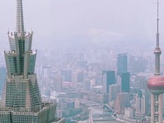 -上海柏悦酒店·世纪100牛排馆