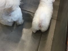 -金乐迪 PARTY KTV(熙街店)