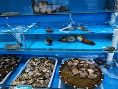 -港畔赶海蒸汽海鲜烧烤自助(仙螺岛店)