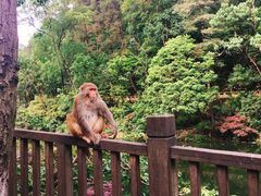 -黔灵山公园-南门售票处