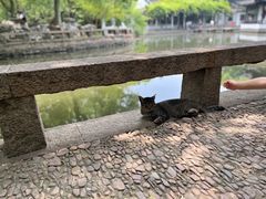 -西园戒幢律寺